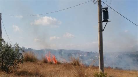 Ultimora Isola Del Liri Vasto Incendio Sulla Collina Di San