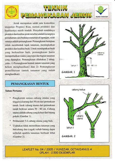 TEKNIK PEMANGKASAN JERUK