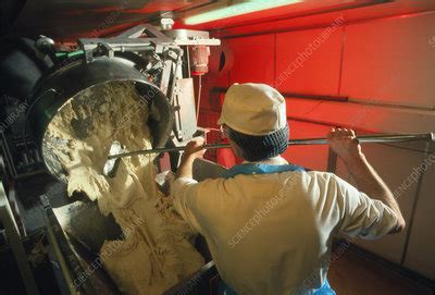 Mixed Sausage Roll Pastry Being Loaded Into Hopper Stock Image T