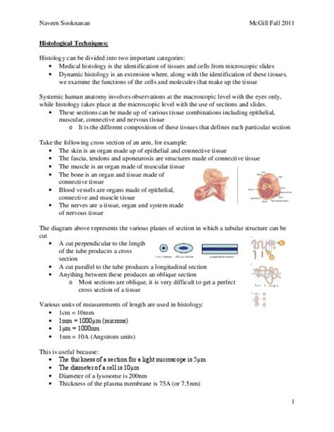 Anat Lecture Notes Fall Eyepiece Collagen Acidophile