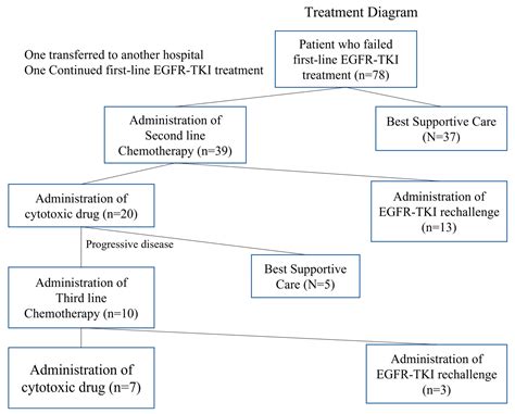 Effectiveness and Safety of EGFR-TKI Rechallenge Treatment in Elderly