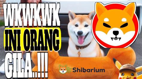 WKWKWKW HANYA ORANG GILA YANG LAKUKAN INI SAMA SHIBA INU YouTube