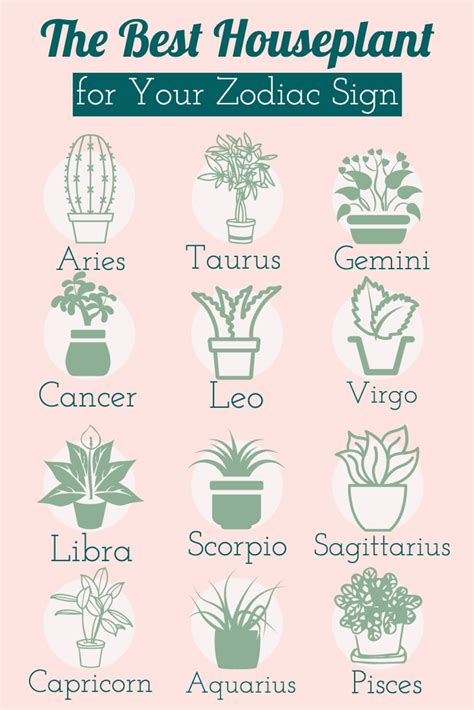 The Best Houseplant For Your Zodiac Sign Horoscope