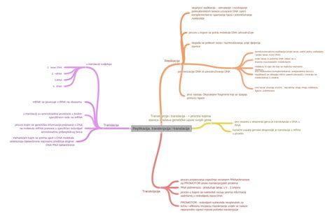 Replikacija, transkripcija i translacija - Coggle Diagram