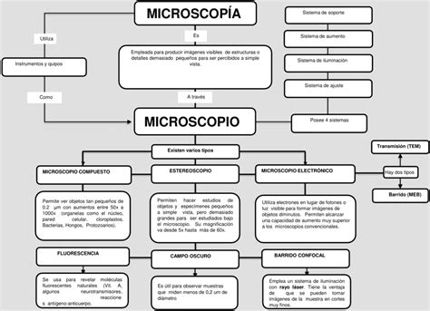 Mapa Mental Del Microscopio Ciencias Quimica Mapa Mental Mapas Porn