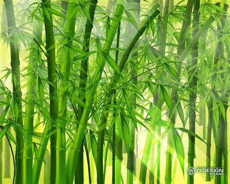 Japanese Bamboo Wallpapers Top Free Japanese Bamboo Backgrounds