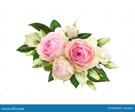 Floral Arrangement with Pink Roses and Eustoma Flowers Isolated Stock Photo - Image of eustoma ...