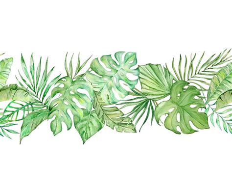 Bordure Transparente Avec Des Feuilles Tropicales Aquarelles Vecteur