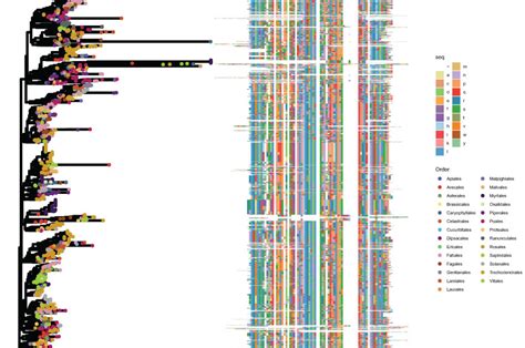 Frontiers Plantnlratlas A Comprehensive Dataset Of Full And Partial