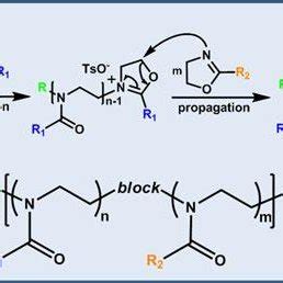 A Mechanism Of The Living Cationic Ring Opening Copolymerization Of