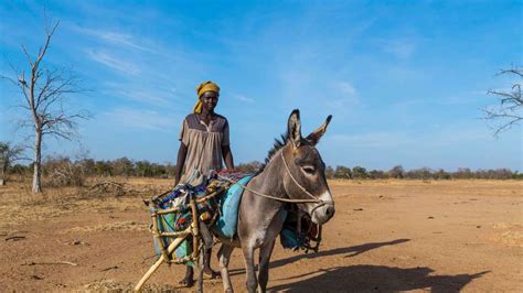 Mehr Als Zwei Milliarden Menschen Von Wasserknappheit Betroffen