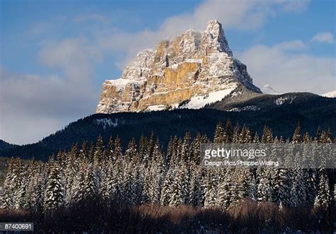 311 Castle Mountain Alberta Stock Photos, High-Res Pictures, and Images ...