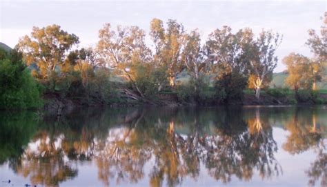 Murrumbidgee River - Childowla - Camping - Canoeing - Fishing