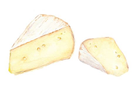 Brie Clip Art Vector Images And Illustrations Istock