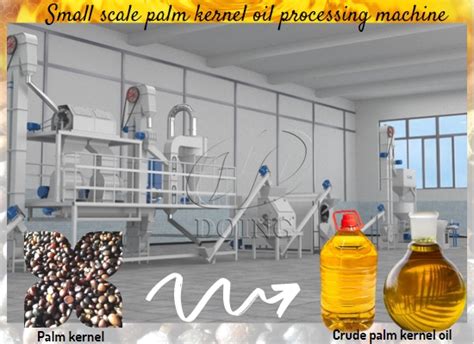 How Is Palm Kernel Oil Produced Palm Oil Extraction Faq