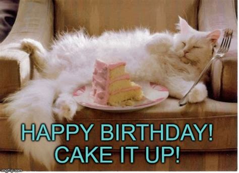 35 Cat Birthday Memes That Are Way Too Adorable SayingImages