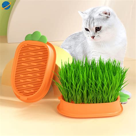 Cat Grass Grow Kit Plant Germination Tray Cat Grass Seed Starting Tray Cat Grass Grow Kit