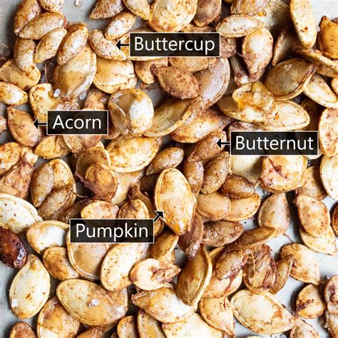 Honeynut Squash Everything You Need To Know