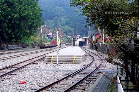 阿里山咖啡之旅。9個部落5條一日遊路線｜北緯235度的世界水準 瑪格。圖寫生活