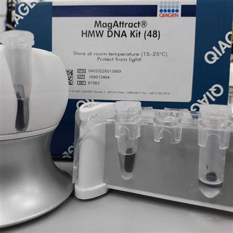 Manual Extraction Of High Molecular Weight DNA From Single Mosquitoes