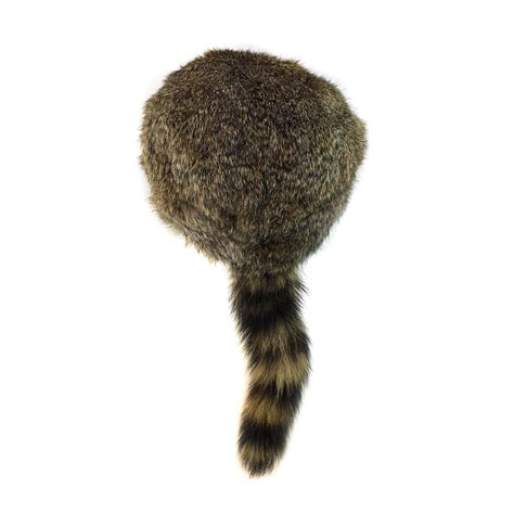 Pioneer Raccoon Hat Clipart