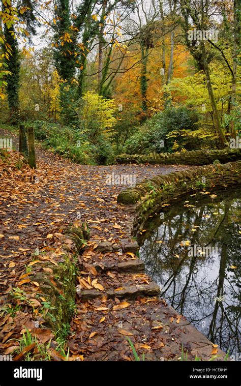 Uksomersetyeovilyeovil Country Parkninesprings Pond And Footpath