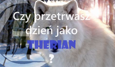 Czy przetrwasz jeden dzień jako therian sameQuizy