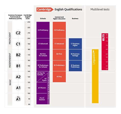 Qué niveles de inglés existen