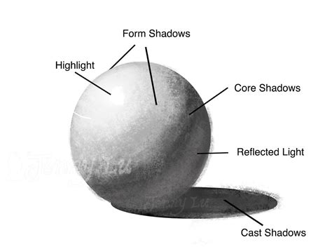 5 Essential Light And Shadow Types That Every Artist Should Know