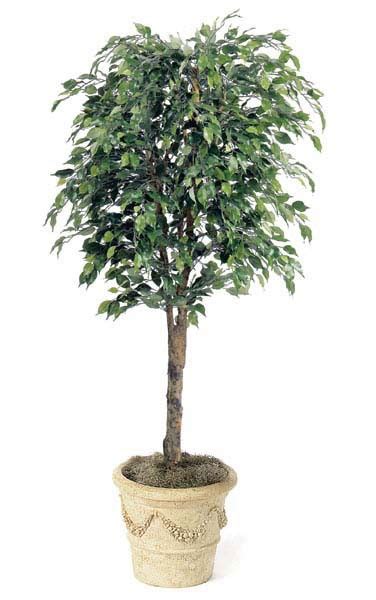 Earthflora Faux Ficus Trees 65 Artificial Ficus Tree