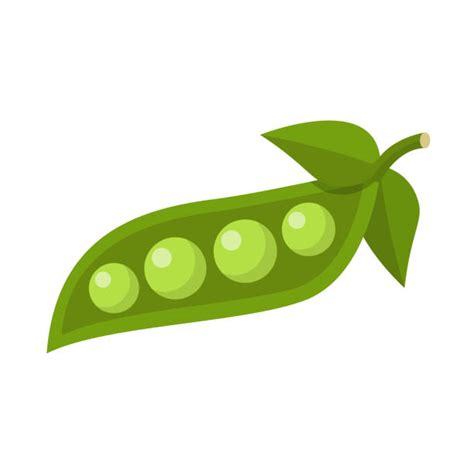 clip art green peas 20 free Cliparts | Download images on Clipground 2024