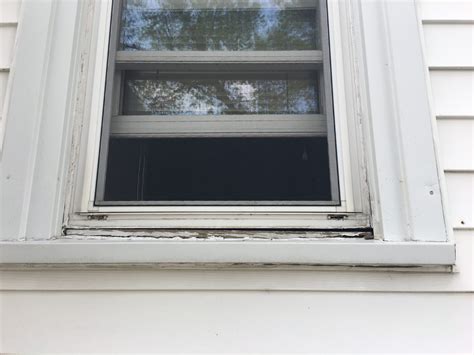Rotting window frame, easy fix for a novice? : HomeImprovement