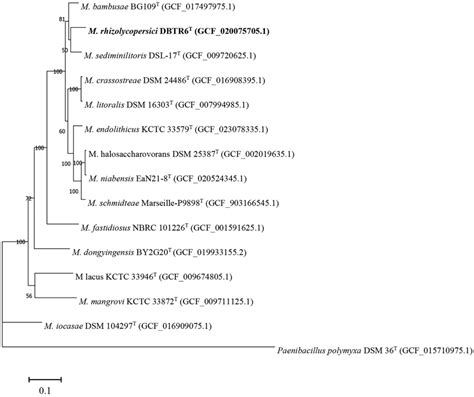 Phylogenomic Tree Inferred From The Concatenation Of 120 Single Copy