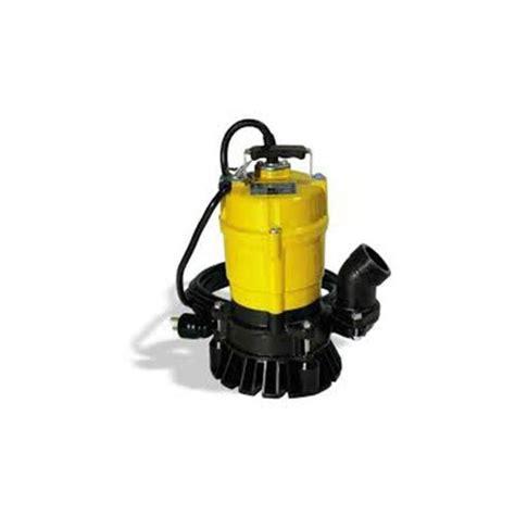 Electric Submersible Trash Pump - China Electric Submersible Trash Pump Manufacturers