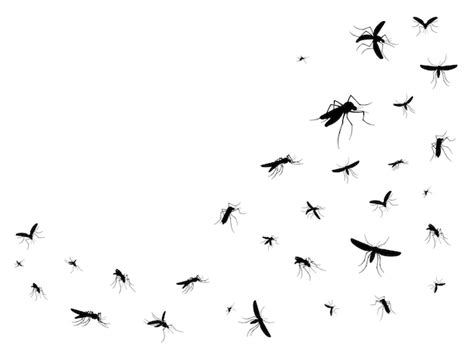 Premium Vector Isolated Flying Mosquitoes Silhouettes Of Insects