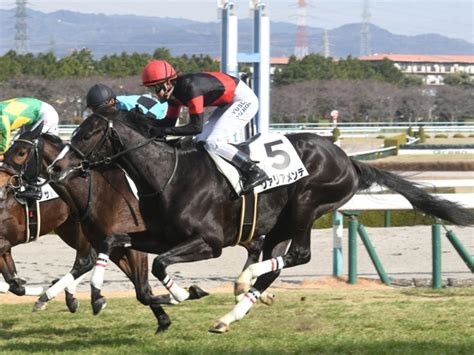 【阪神4r新馬戦結果】ヴァリアメンテがゴール寸前で差し切りv 競馬ニュース