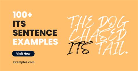 Its Sentence Examples Pdf Tips