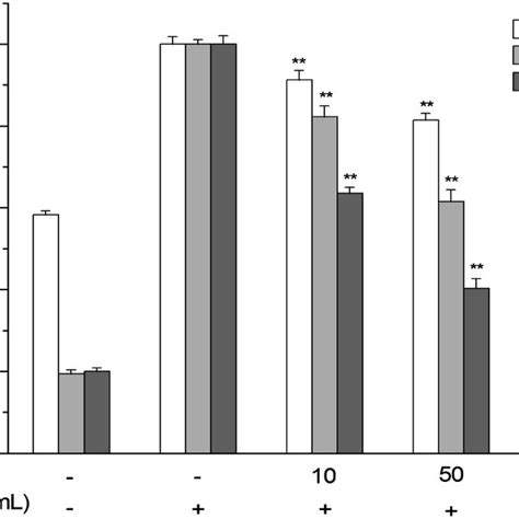 Anti Inflammatory Effects Of Pge On Lps Stimulated Raw Macrophage