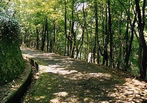 大阪府立近つ飛鳥風土記の丘（大阪府） 【ロケ地 検索】全国ロケーションデータベース