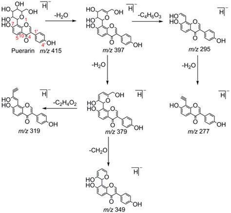 Molecules Free Full Text Rapid Screening And Identification Of