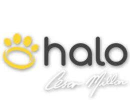 Halo Collar Promo Codes - Save using Nov. 2024 Coupon Codes