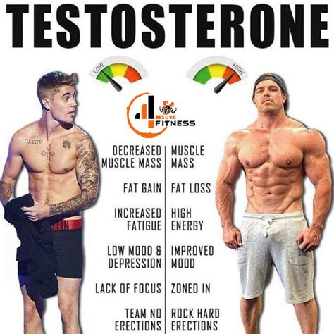 Boost Testosterone In 3 Min In 2023 Increase Testosterone Levels