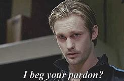 I beg your pardon? - Reaction GIFs