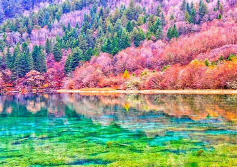 plan  trip  jiuzhaigou national park