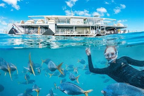 Great Barrier Reef Day Cruise To Reefworld Reserve Now