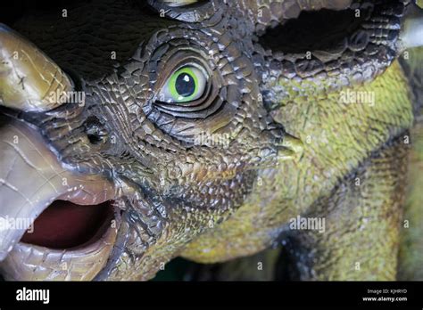 Modelo De Dinosaurio De Aspecto Realista Fotos E Imágenes De Stock Alamy