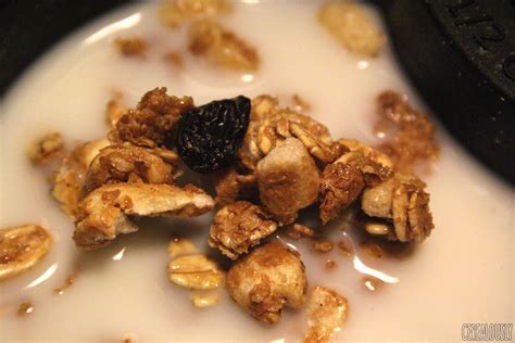 Review Kelloggs Raisin Bran Raisin And Honey Granola Cerealously