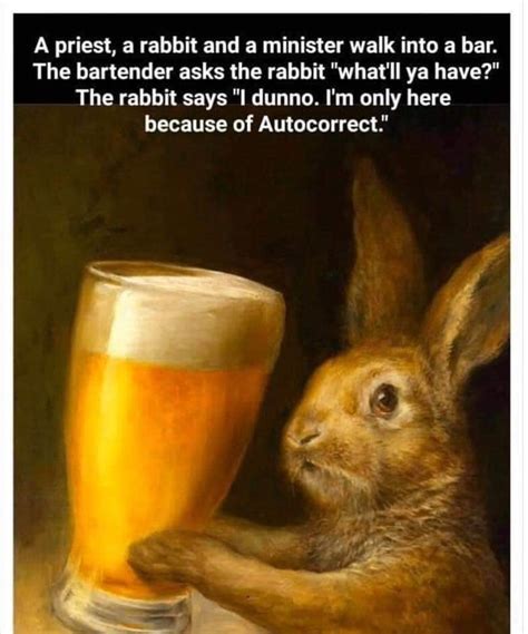 Pin By Kim On Amusing From Facebook Funny Captions Rabbit Jokes Funny