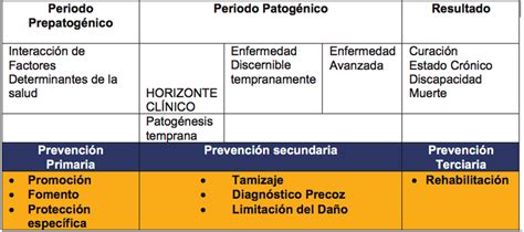 Modelo Multicausal Y EcolÓgico De Historia Natural De La Enfermedad