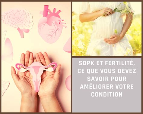 Am Liorez Votre Condition De Fertilit Tout Ce Que Vous Devez Savoir